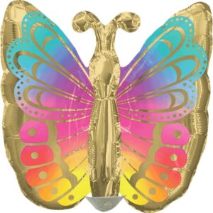 Colorful Butterfly