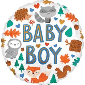Baby Boy Woodland Fun