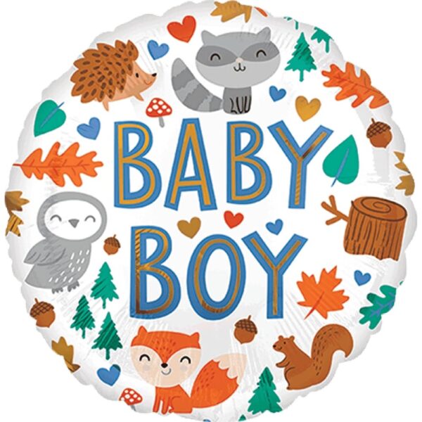 Baby Boy Woodland Fun