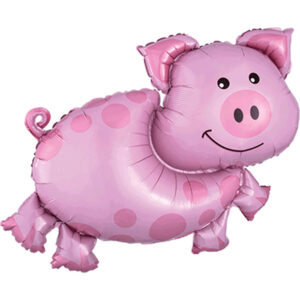 Pig