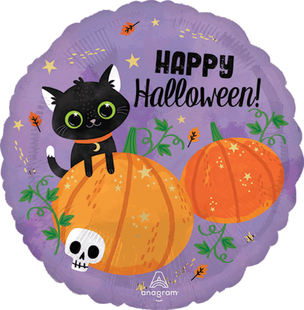 HALLOWEEN CAT & PUMPKINS