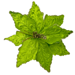 Nochebuena terciopelo diamantada centro con ramas verde