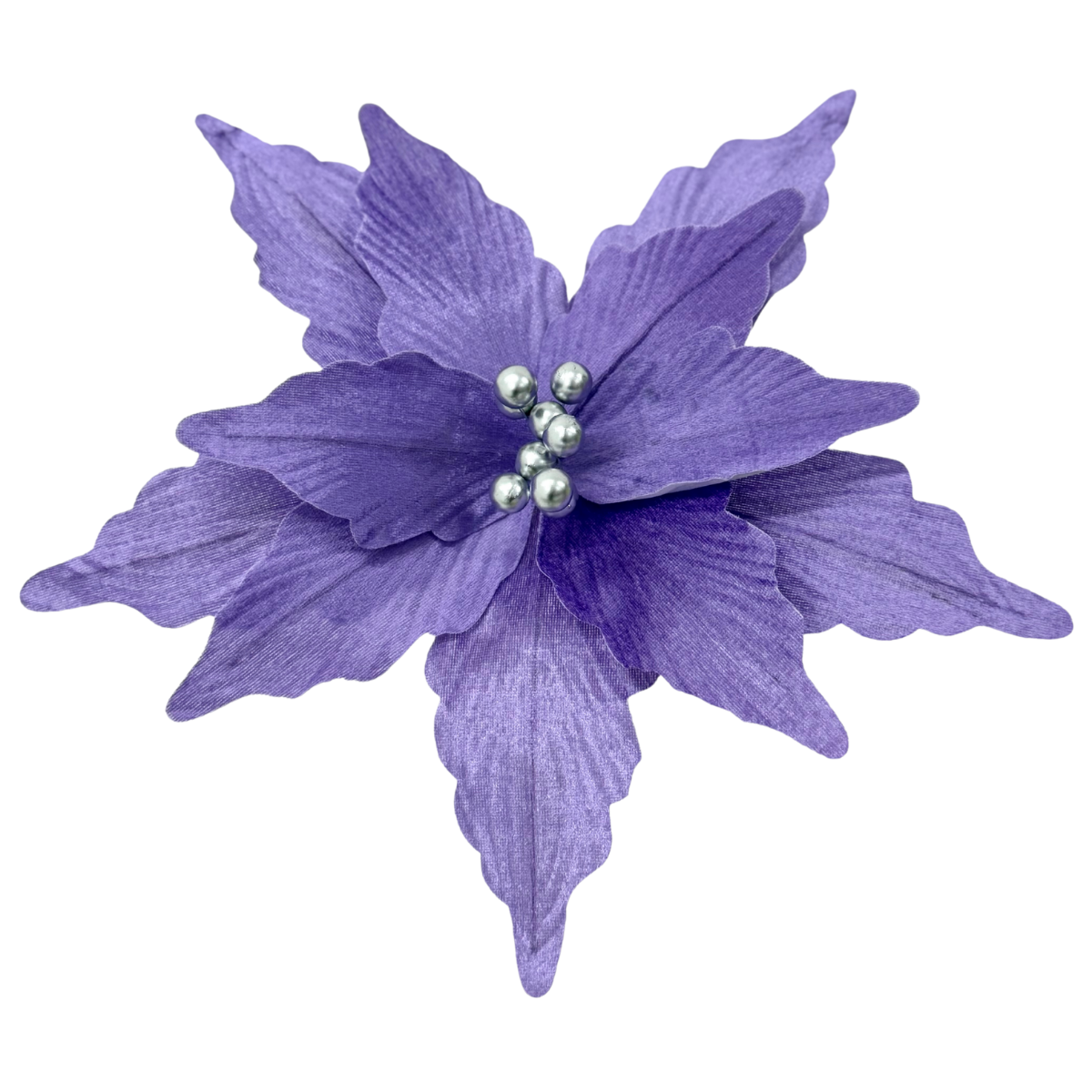 Nochebuena terciopelo morada