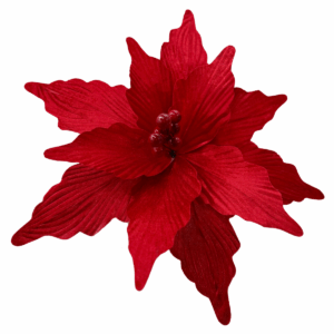 Nochebuena terciopelo roja