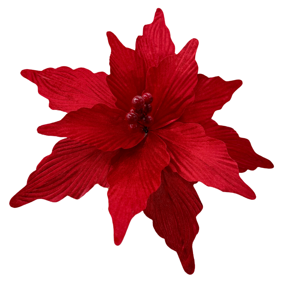 Nochebuena terciopelo roja