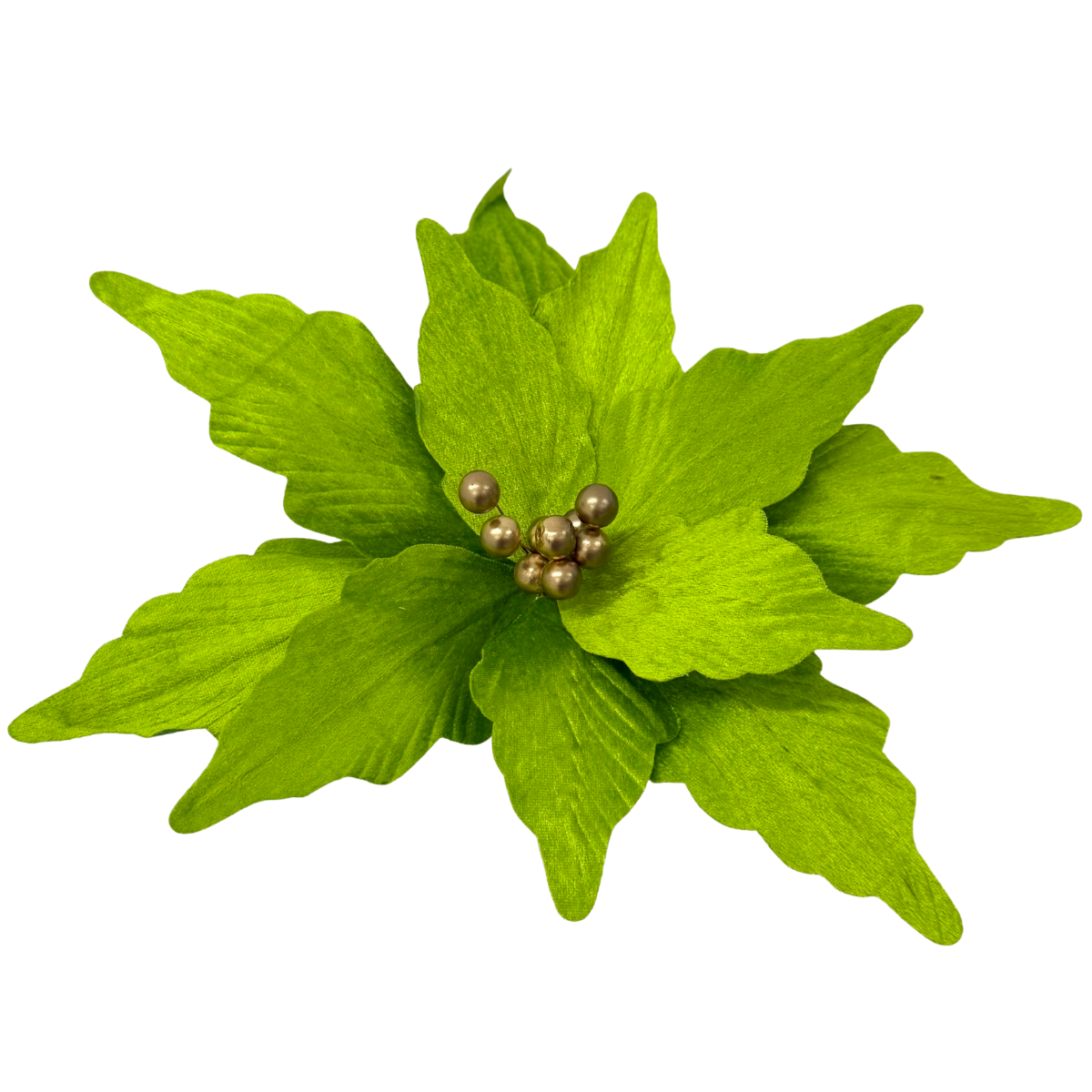 Nochebuena terciopelo verde