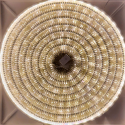Serie tira transparente led mágica cálida 1000L
