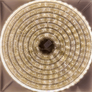 Serie tira transparente led mágica cálida 1000L