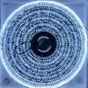 Serie tira verde led mágica blanca 500L