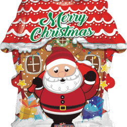 SANTA & HOUSE