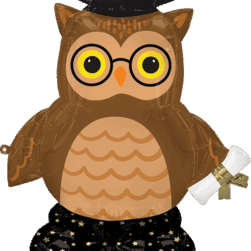 GRAD WISE OWL