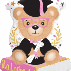 OSO CON LIBROS ROSA
